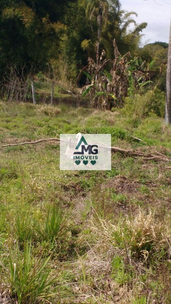 Terreno à venda com 4000m² de terreno no Area Rural Cambuquira, Cambuquira (MG) — foto 17 de 30