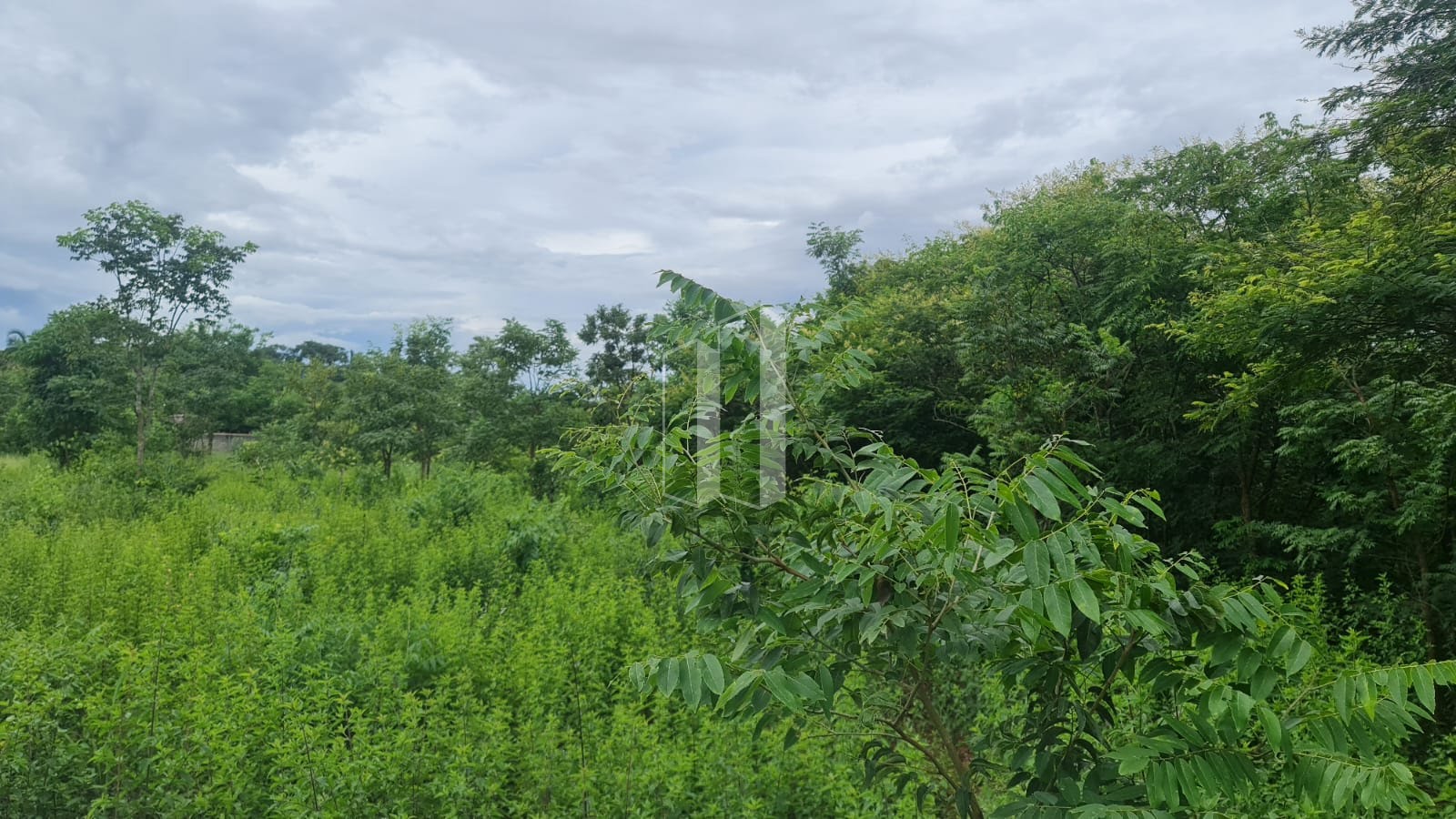 Terreno à venda com 5000m² de terreno no Village Casa Grande, Goiânia (GO) — foto 5 de 19
