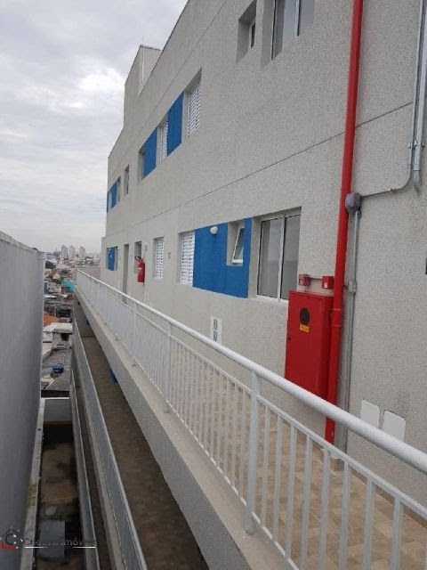 Foto 19