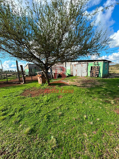 Casa em Rural  -  Alegrete