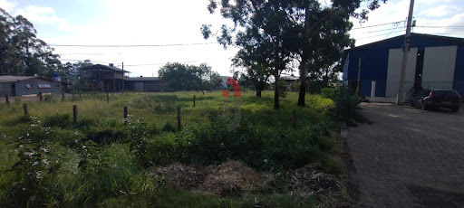 Terreno na Faxina  -  Maquiné