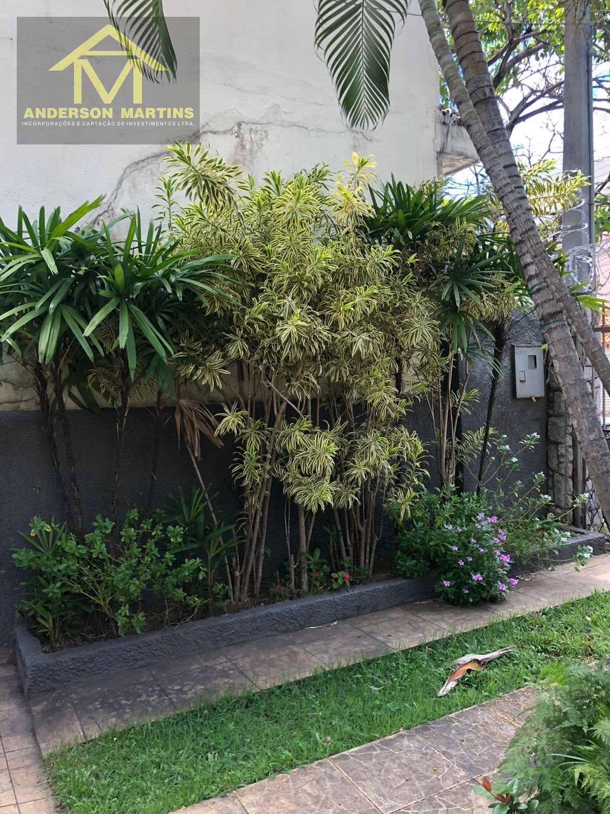 Casa à venda com 3 quartos, 1 banheiro, 2 vagas e 288m² no Olaria, Vila Velha (ES) — foto 8 de 20