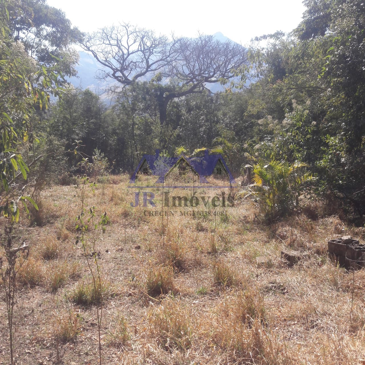 Terreno à venda com 3500m² de terreno no Pedra Preta, Itajubá (MG) — foto 3 de 7