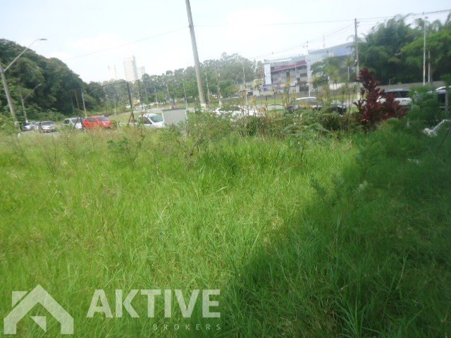 Foto 06