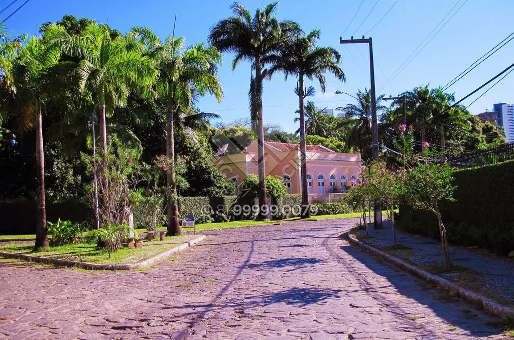 Casa à venda com 4 quartos, 4 suítes, 4 vagas e 400m² no Poço da Panela, Recife (PE) — foto 26 de 29
