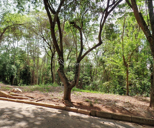 Terreno, 12 m² - Foto 2