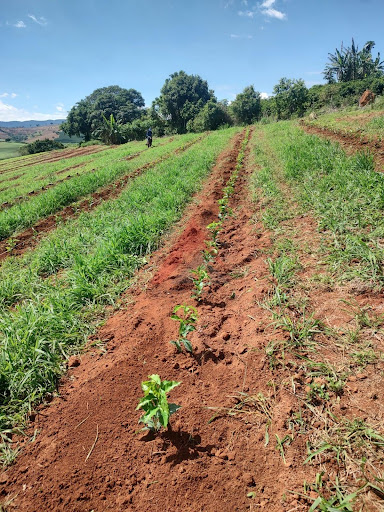 Fazenda em Heliodora/MG