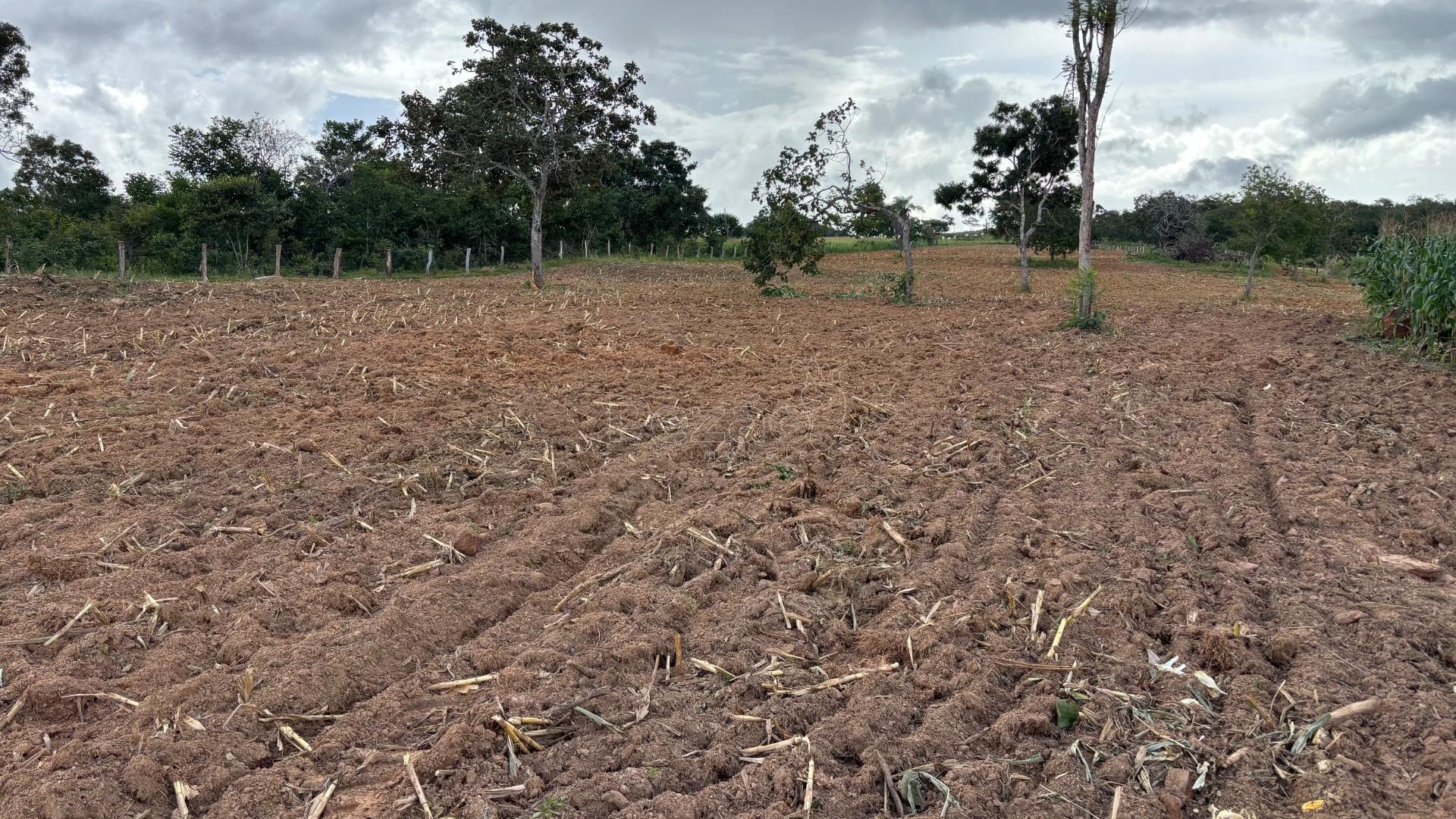 Rural à venda com 50000m² de terreno no Zona Rural, Itapuranga (GO) — foto 15 de 30