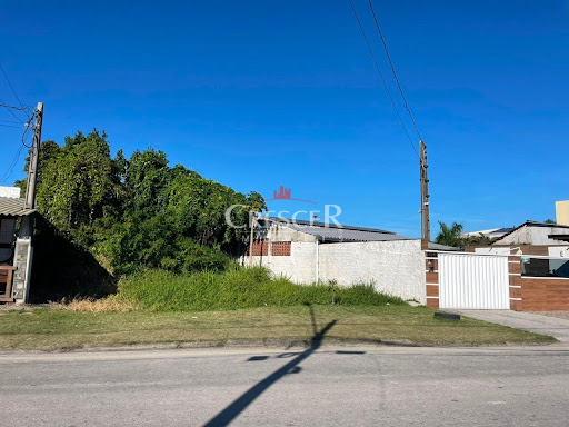Terreno à venda no bairro Bom Retiro