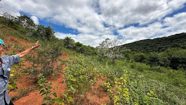 Terreno à venda em Santa Cruz - Periquito por R$ 850 mil