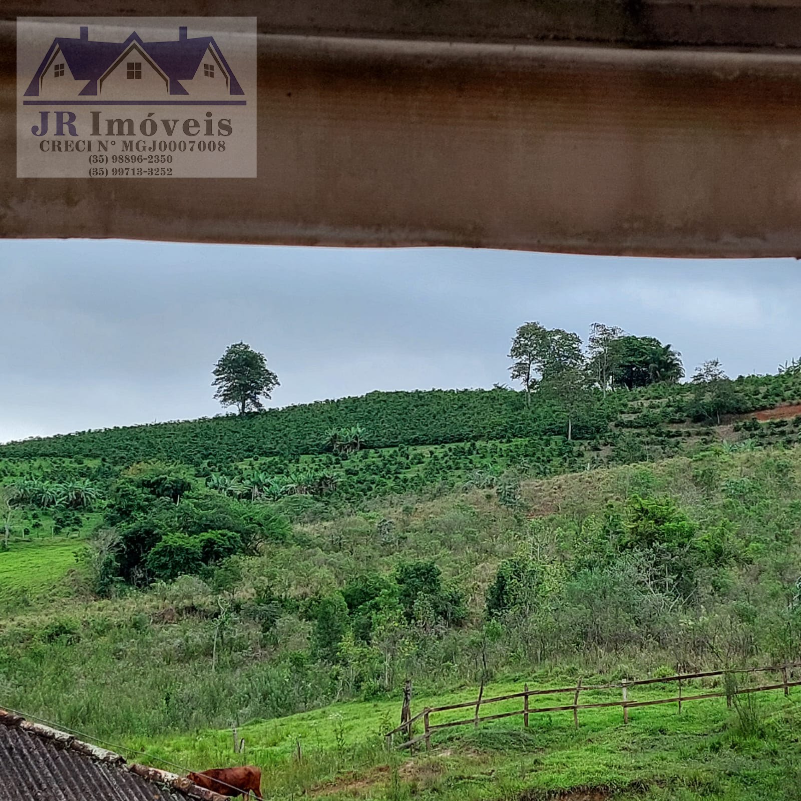 Rural à venda com 12000m² de terreno no Floresta, Pedralva (MG) — foto 7 de 18