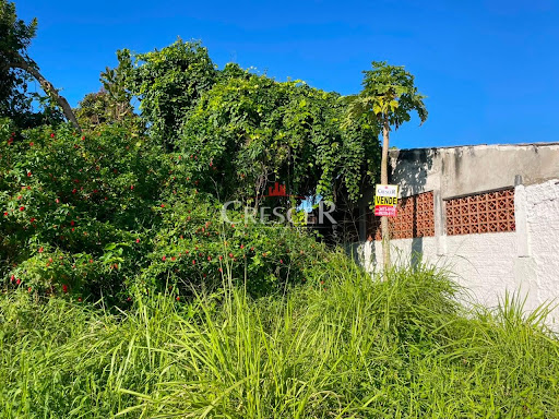 Terreno à venda no bairro Bom Retiro