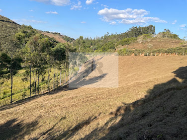 Sítio em Sereno  -  Cataguases