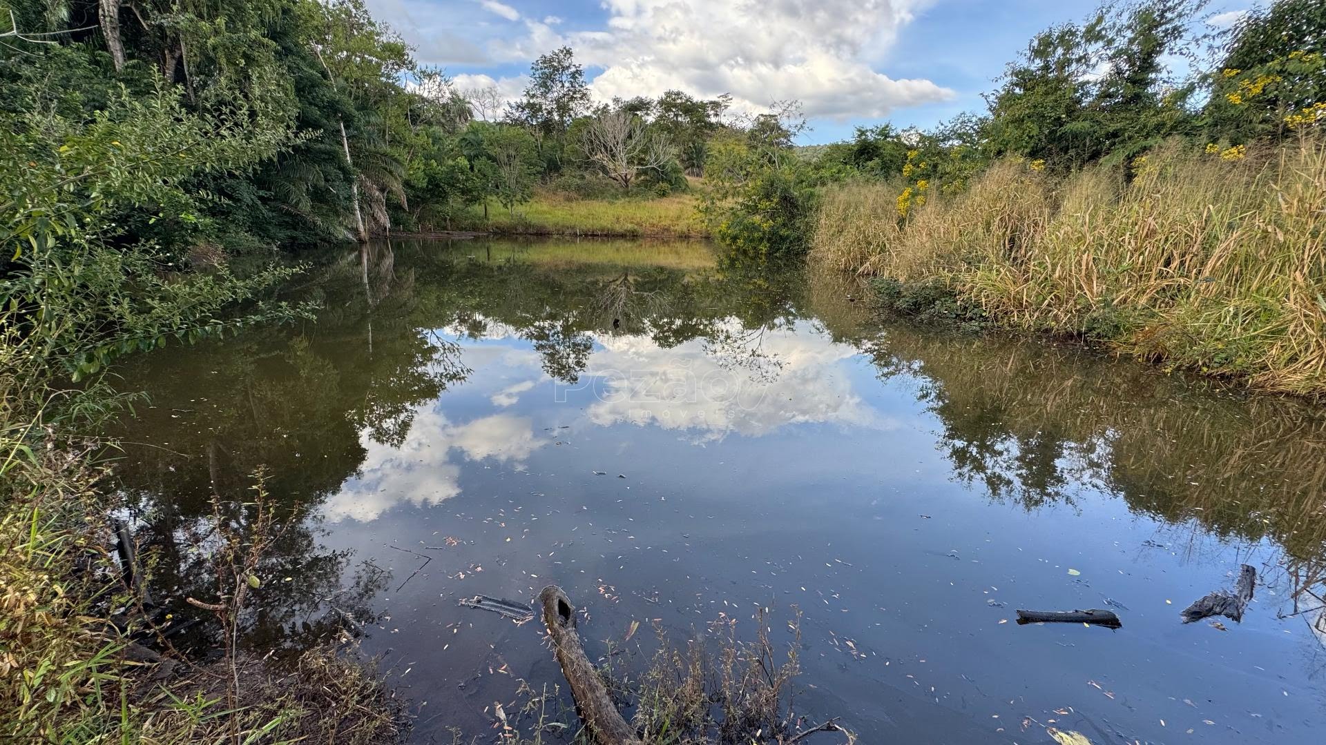 Rural à venda com 308355m² de terreno no Zona Rural de Heitoraí, Heitoraí (GO) — foto 27 de 29
