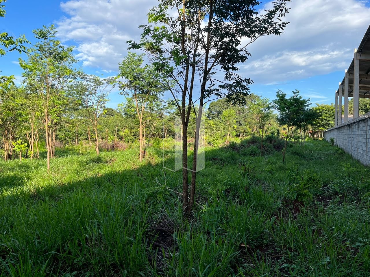 Terreno à venda com 5000m² de terreno no Village Casa Grande, Goiânia (GO) — foto 15 de 19