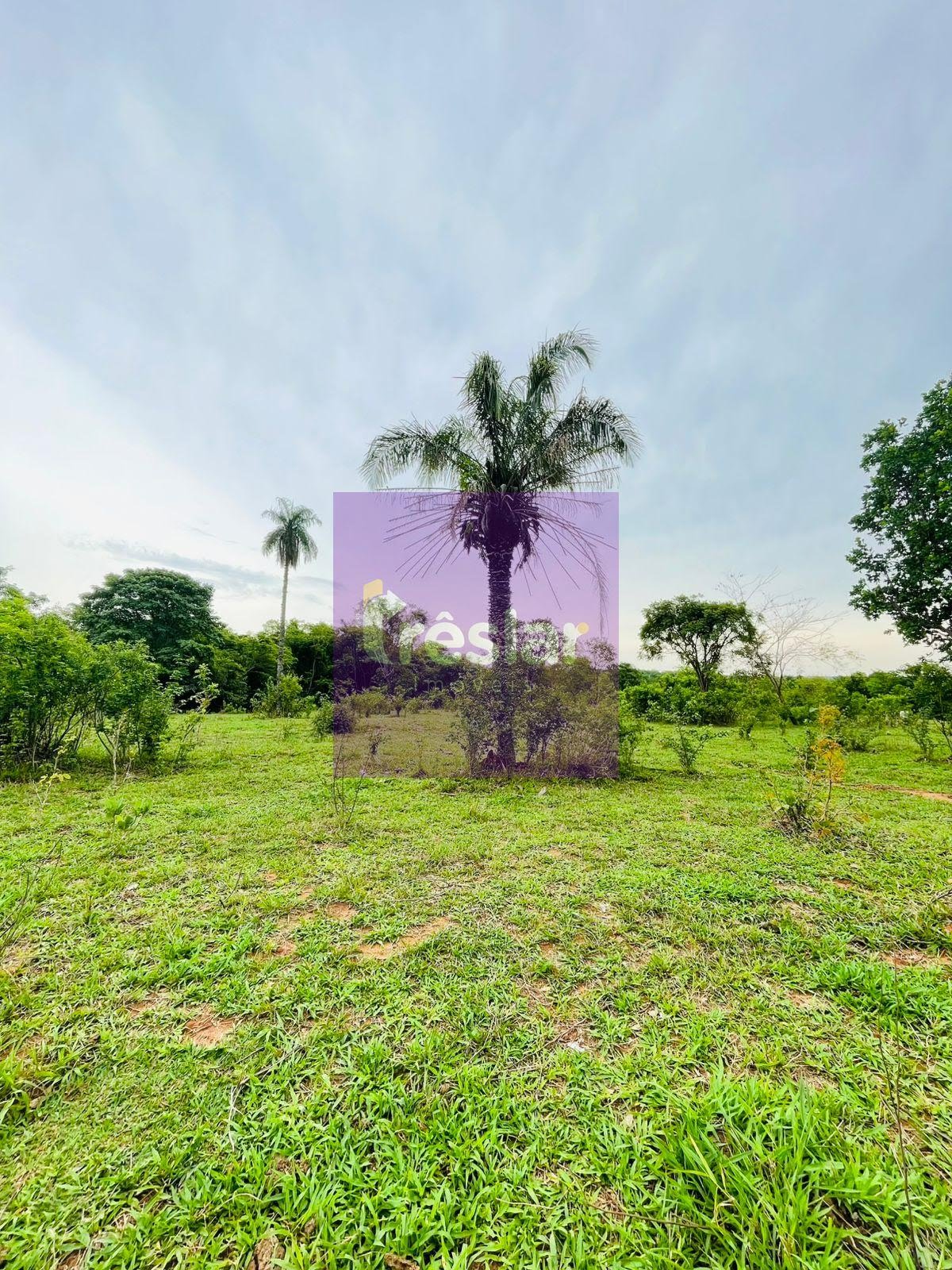 Rural à venda no Fazenda, Três Lagoas (MS) — foto 24 de 24