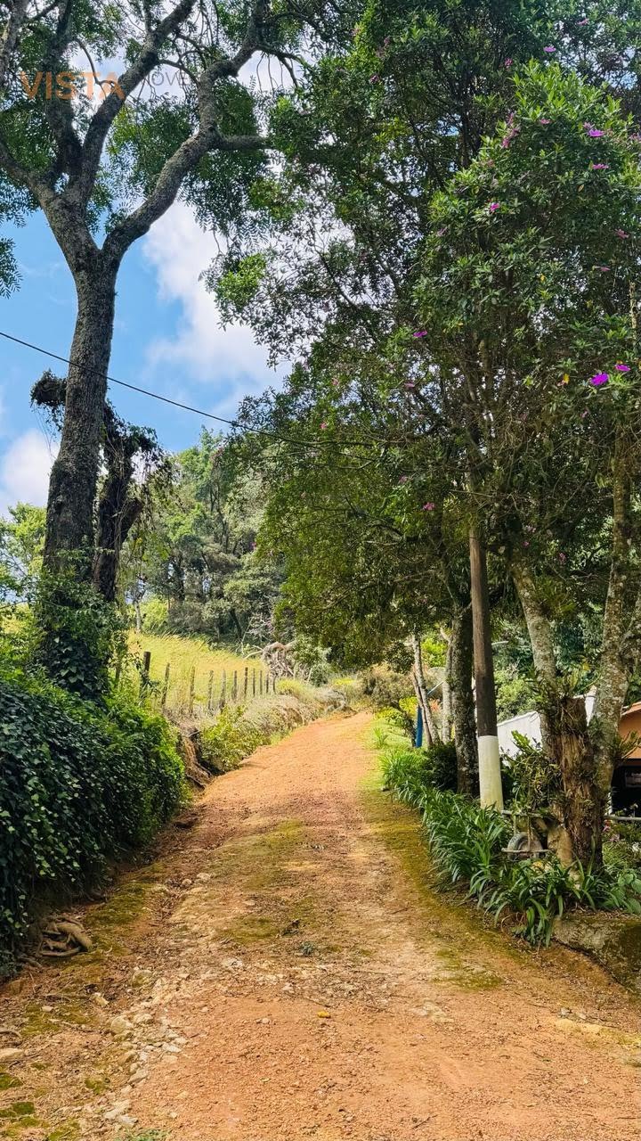 Rural à venda com 121000m² de terreno no São Roque da Fartura, Águas da Prata (SP) — foto 29 de 30