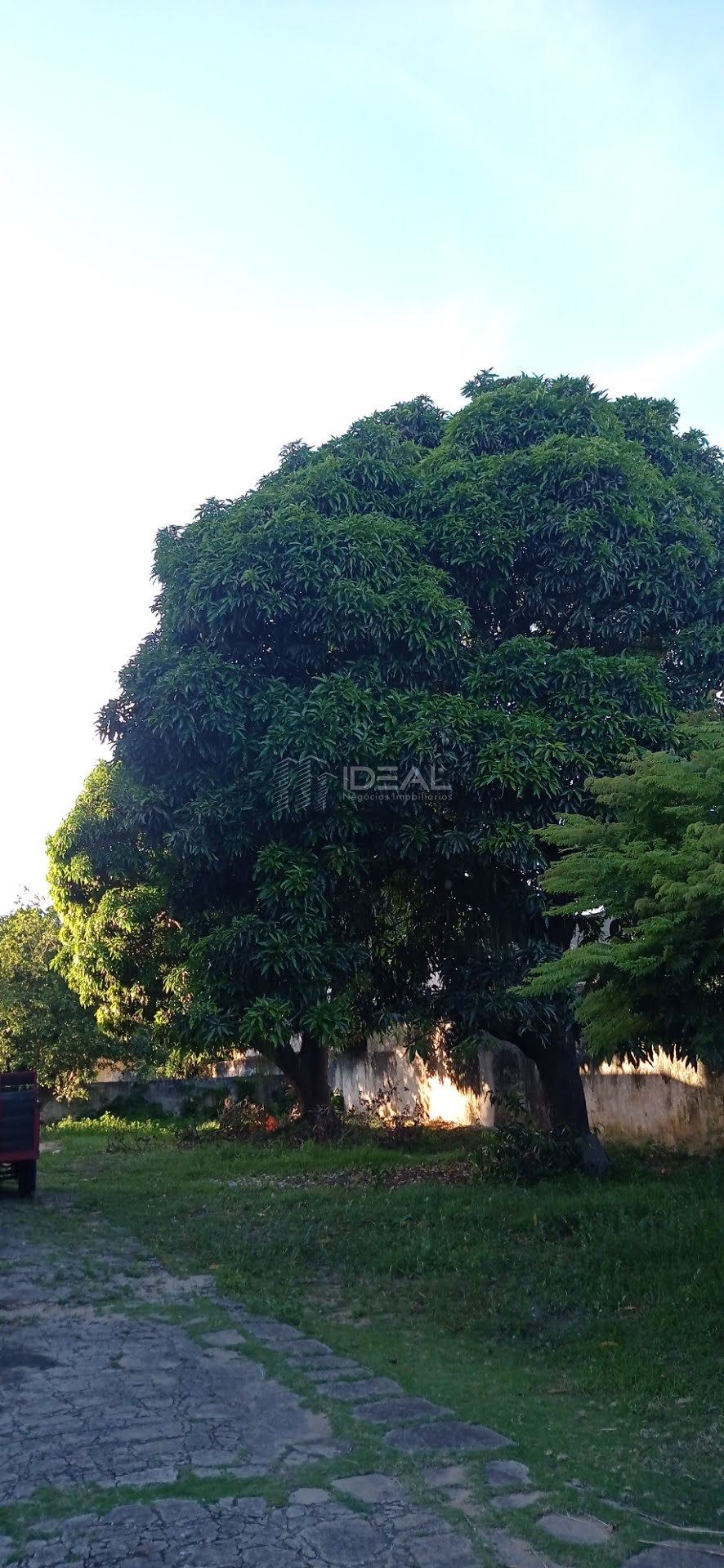 Casa à venda com 5 quartos, 1 suíte, 5 vagas e 300m² no Parque Turf Club, Campos dos Goytacazes (RJ) — foto 10 de 19