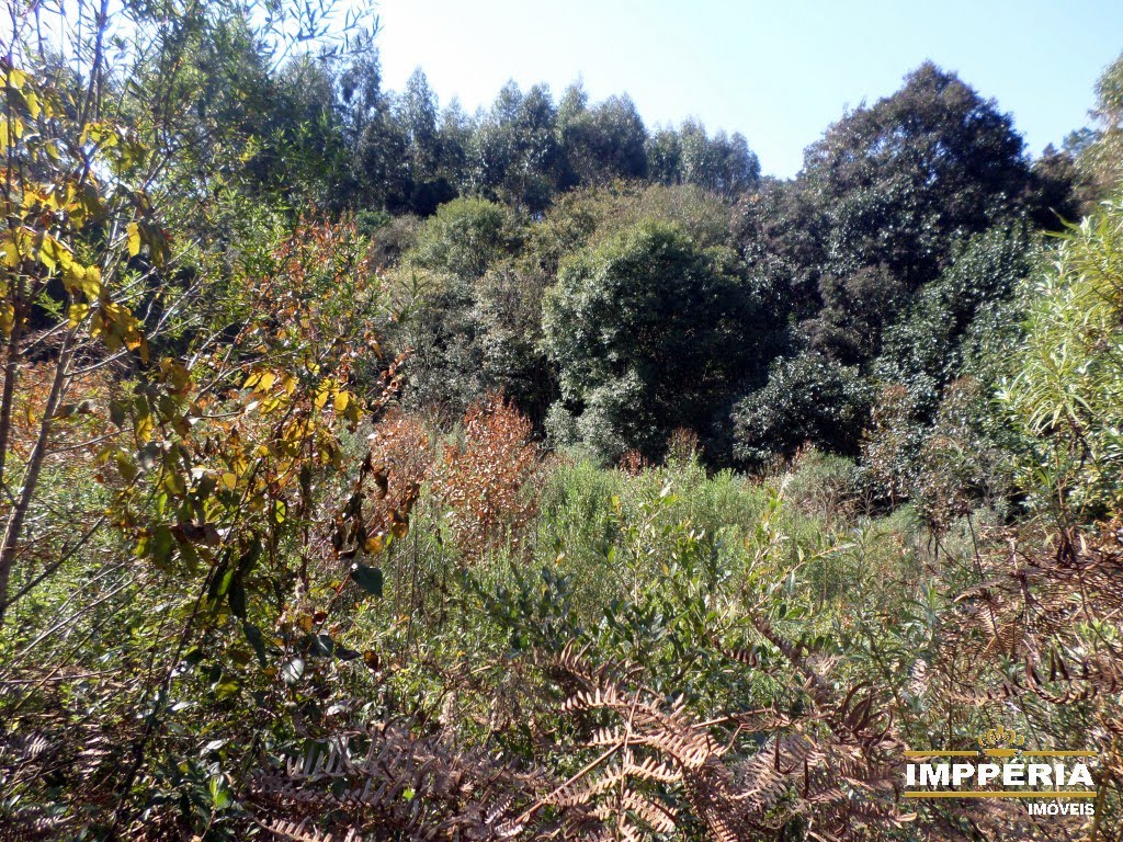 Foto 03