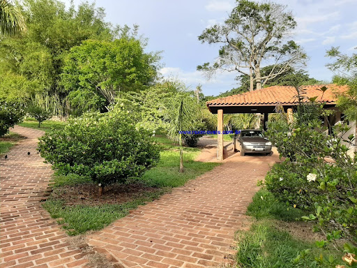 Foto 11