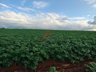 Fazenda em Heliodora/MG