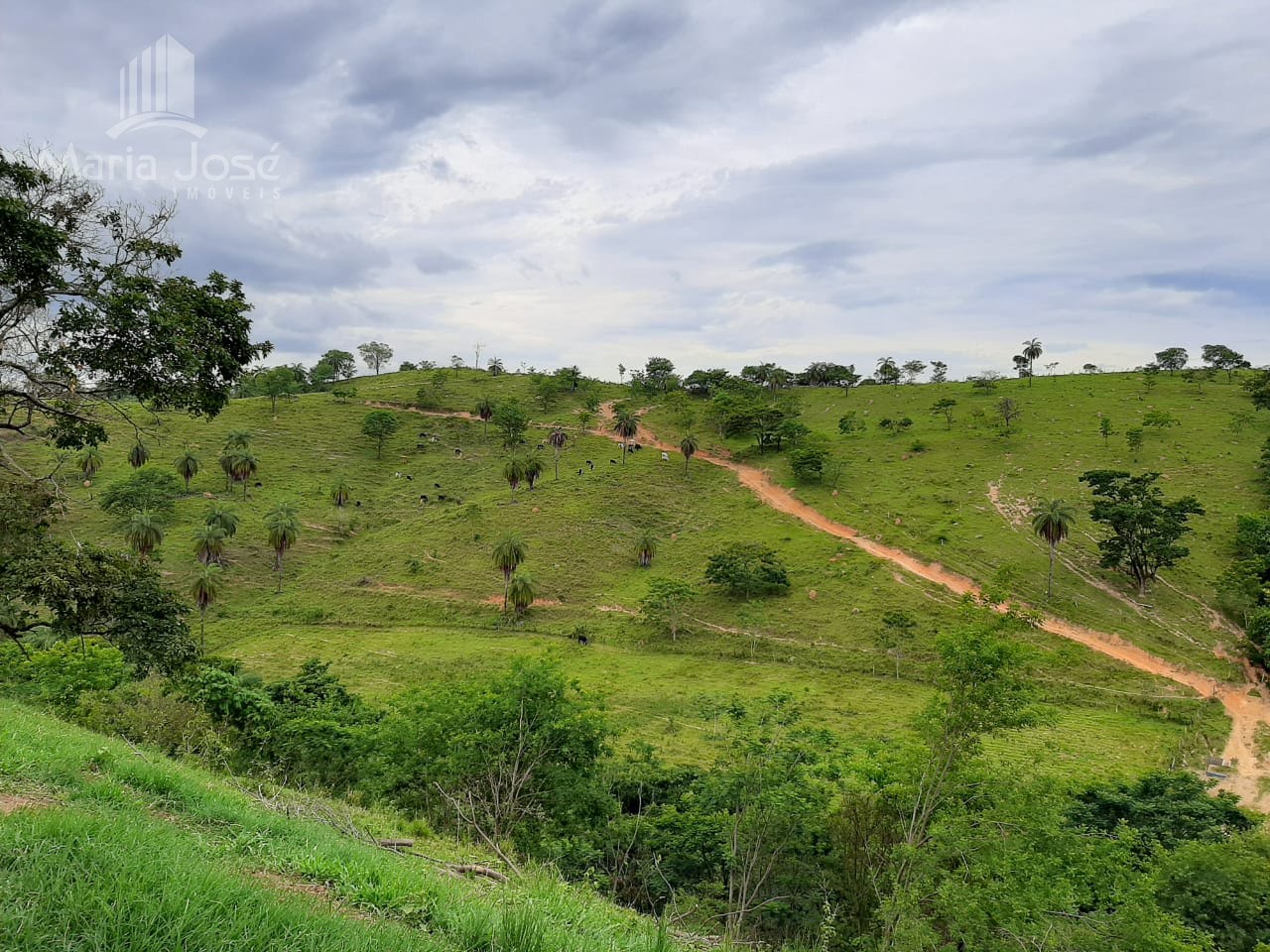 Rural à venda no Zona Rural de Sete Lagoas, Sete Lagoas (MG) — foto 11 de 30