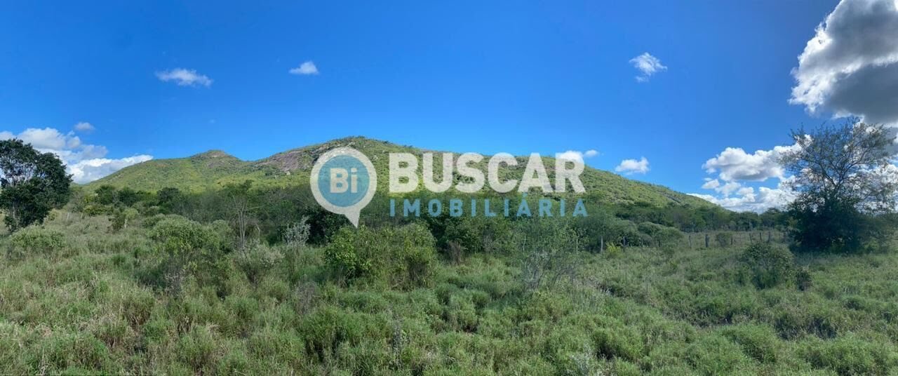 Rural à venda com 1610000m² de terreno no Centro, Iaçu (BA) — foto 8 de 17