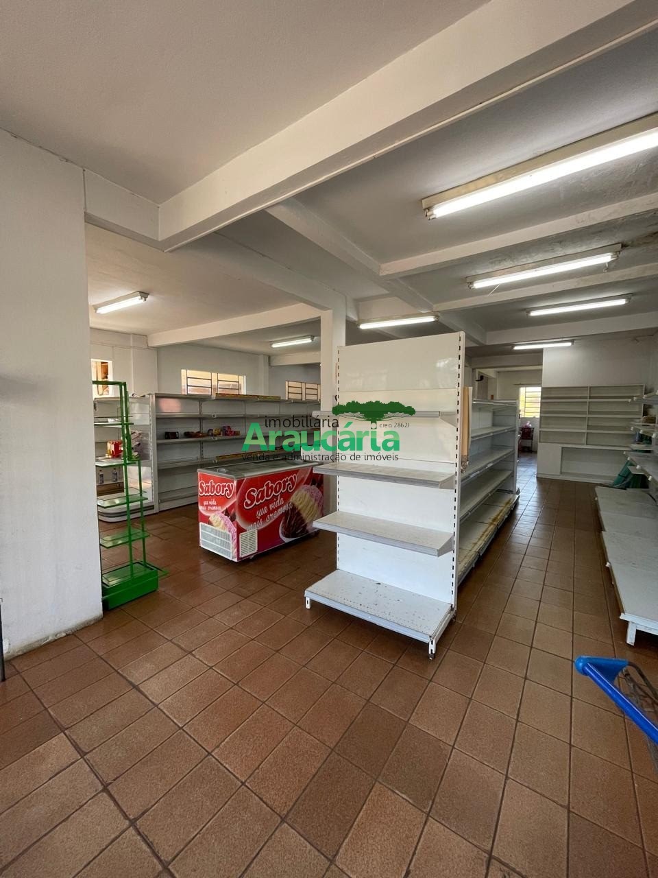 Foto 05