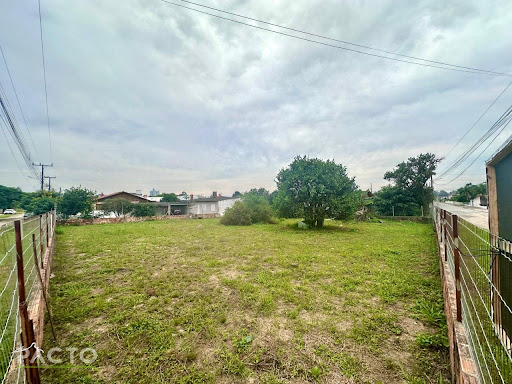 Terreno em Nova Divinéia  -  Araranguá