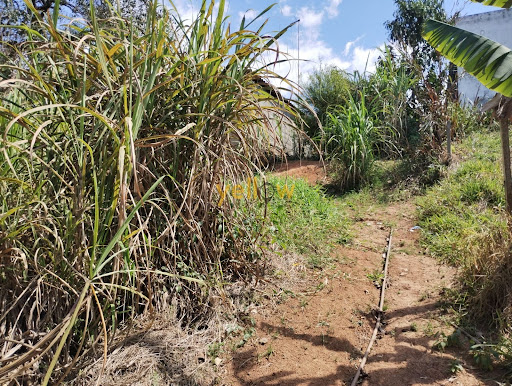 Terreno Residencial em Jardim Santo Antônio  -  Arujá