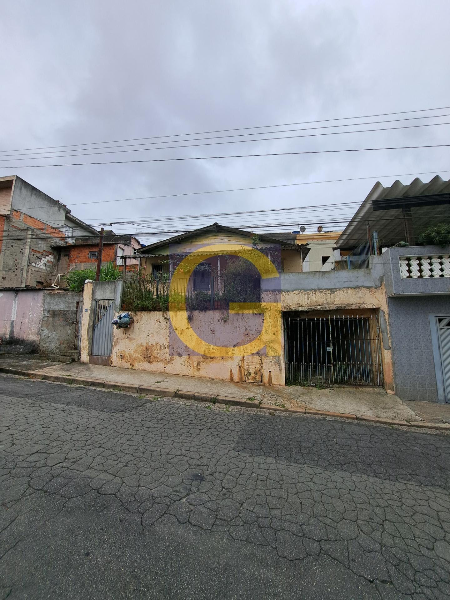 Frente