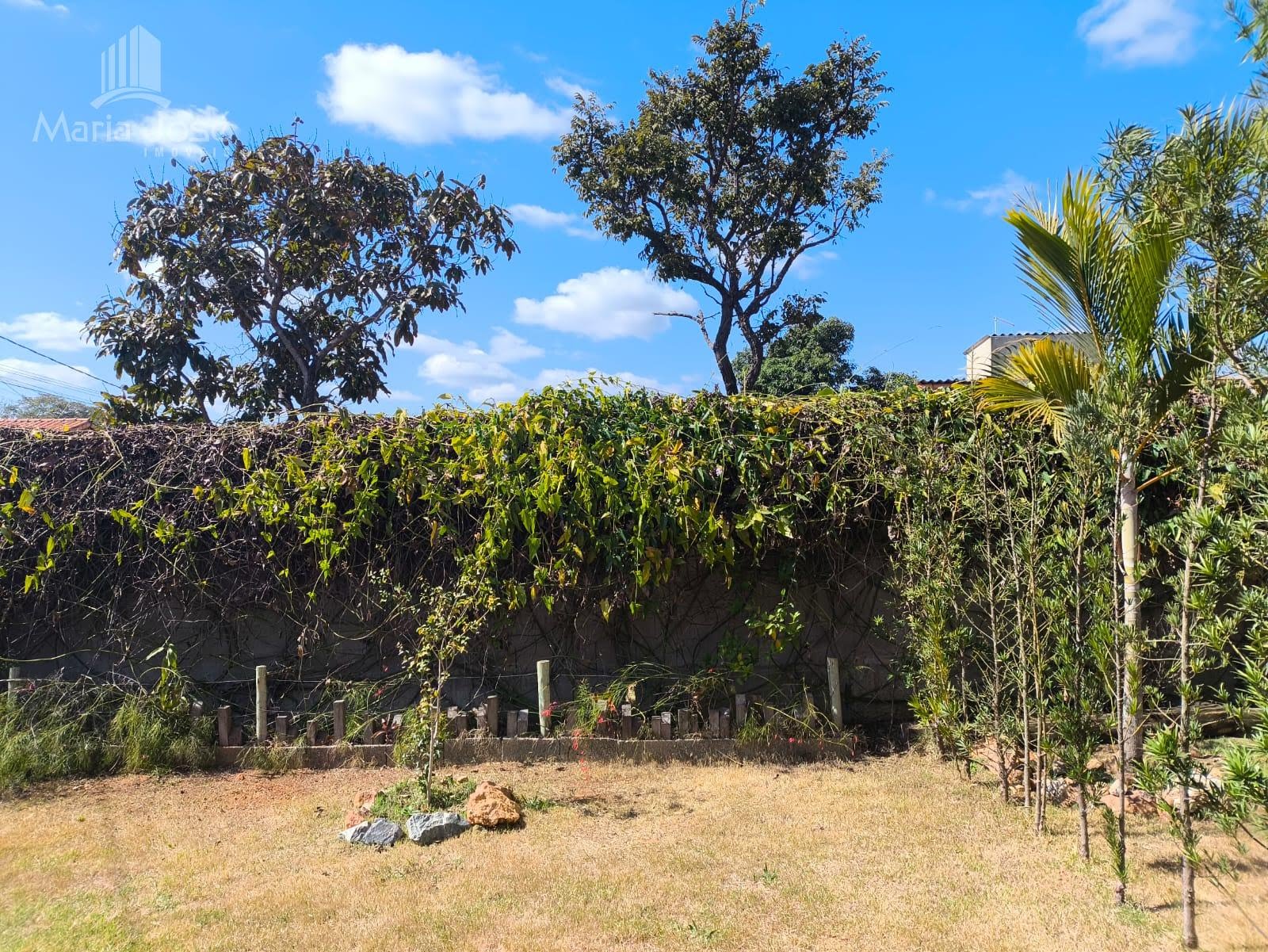 Casa à venda com 3 quartos, 1 suíte e 2 vagas no Novo Brasil, Funilândia (MG) — foto 11 de 30