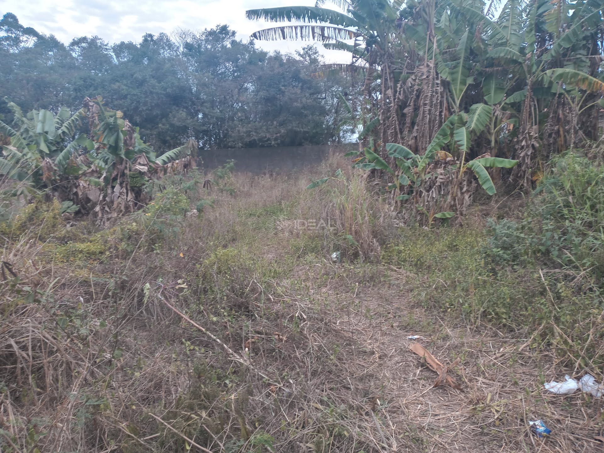 Comercial à venda com 1 banheiro e 18000m² no Mineiros, Campos dos Goytacazes (RJ) — foto 18 de 25