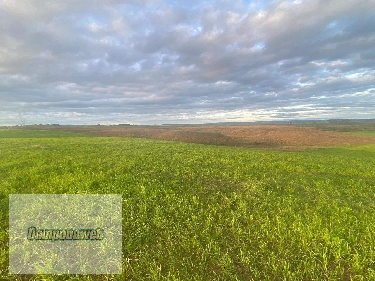 Área agrícola à venda