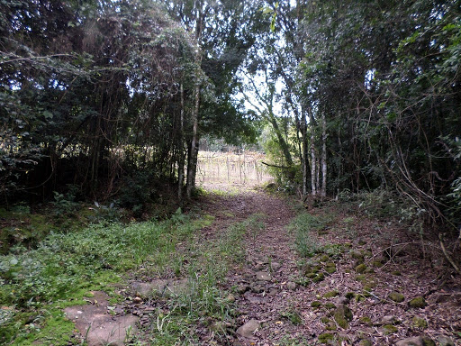 Foto 06