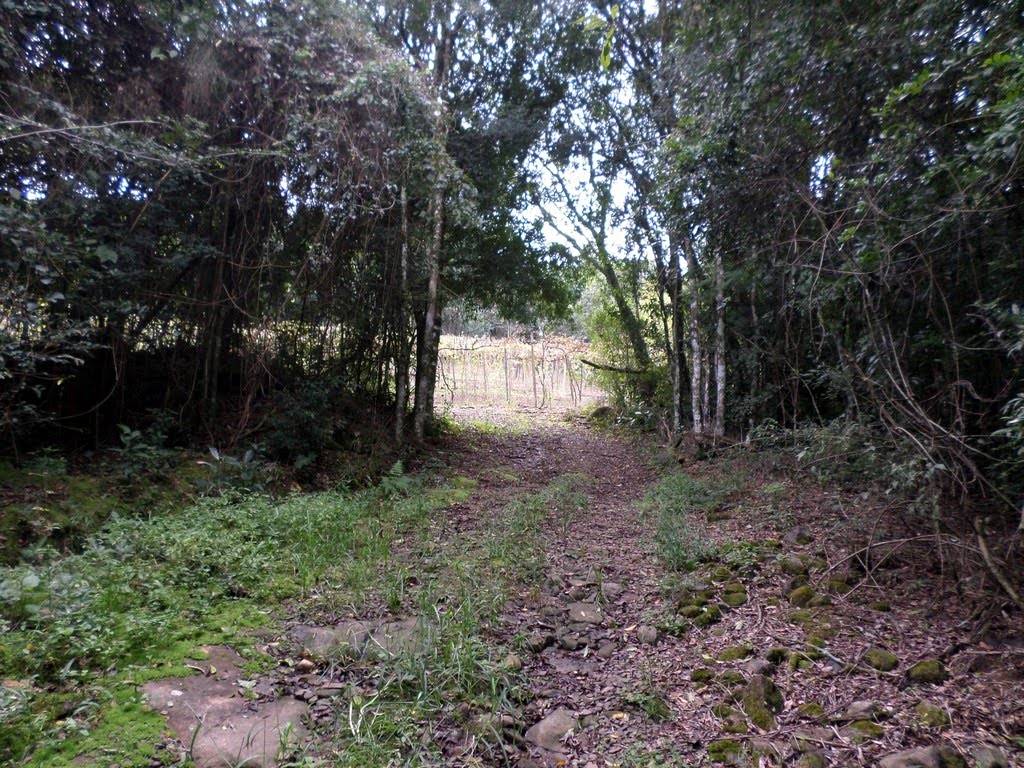 Foto 06
