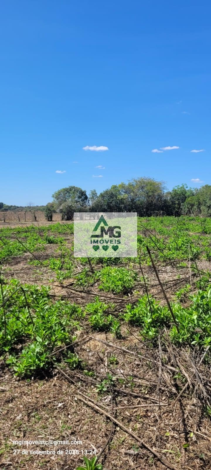 Rural à venda com 20000m² de terreno no Área Rural de Três Corações, Três Corações (MG) — foto 4 de 26