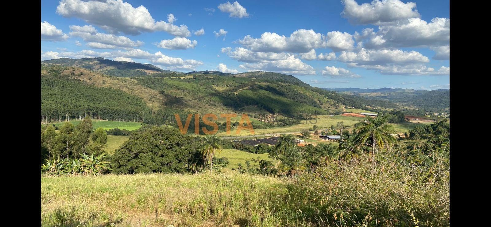 PASTO PARA GADO