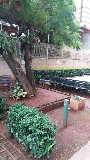 Jardim