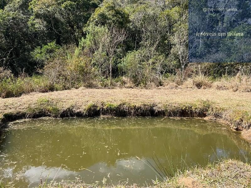 Rural à venda com 3789m² de terreno no Ibiúna, São Paulo (SP) — foto 22 de 30