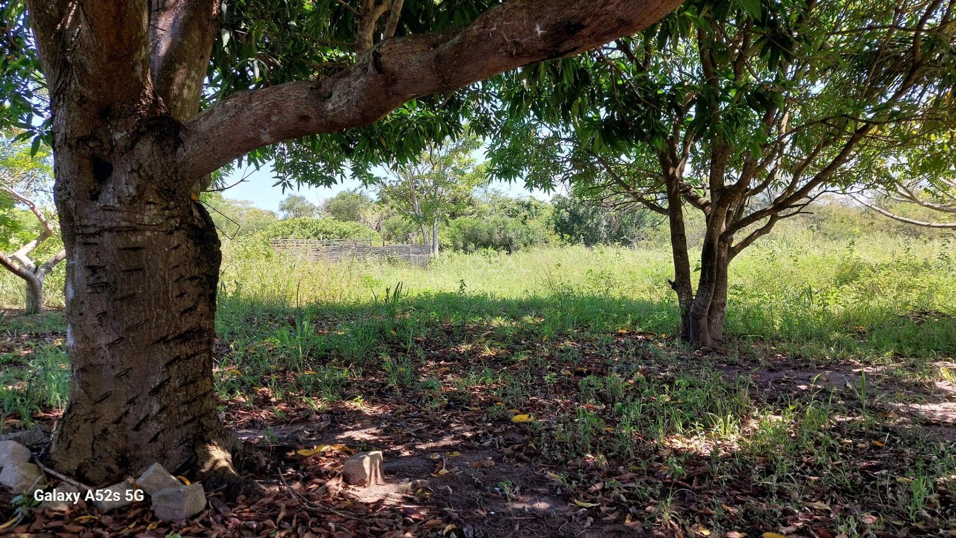 Terreno à venda no Parque Aeroporto, Campos dos Goytacazes (RJ) — foto 16 de 20