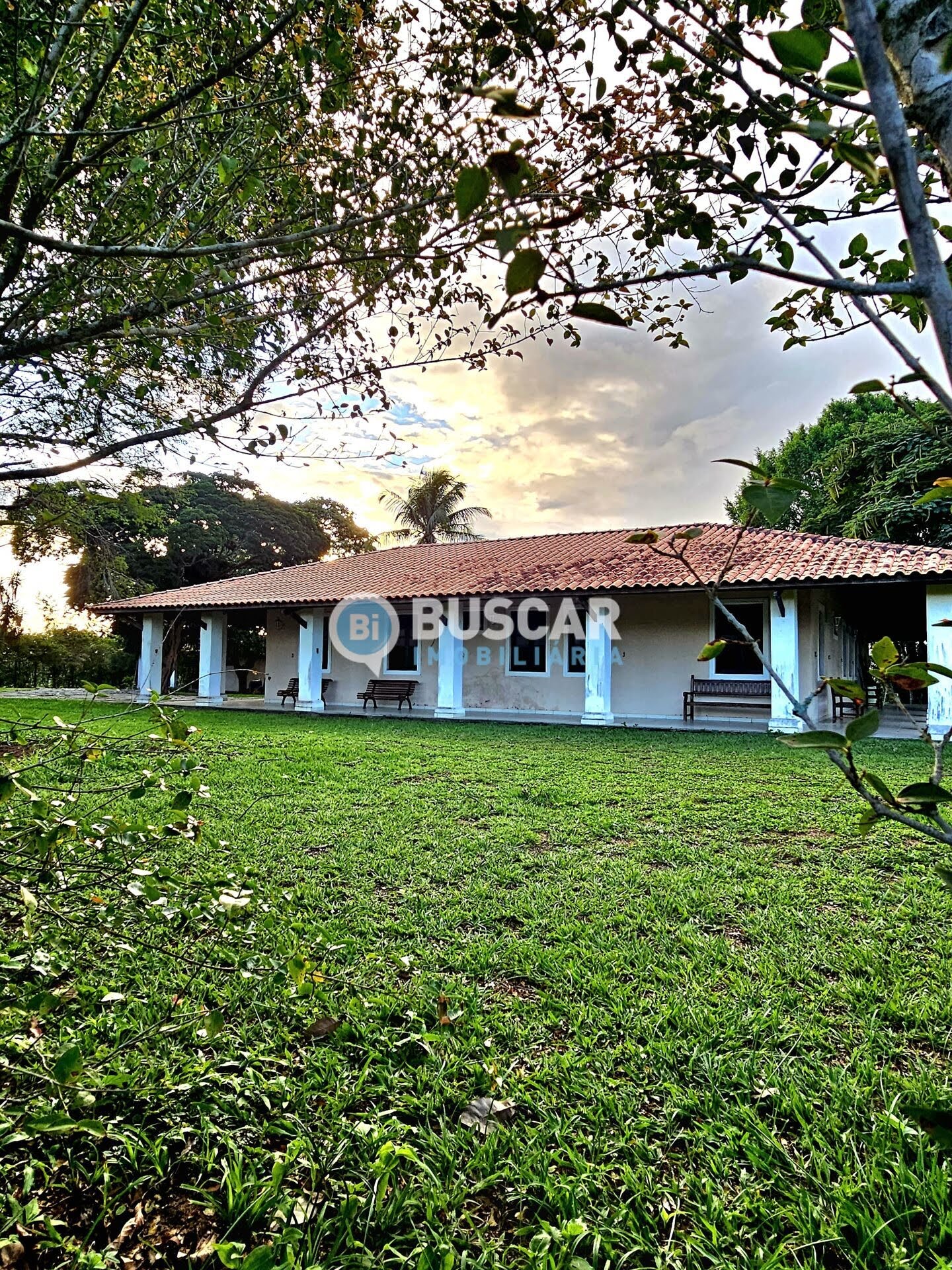 Terreno à venda no Br-324, Amélia Rodrigues (BA) — foto 8 de 17