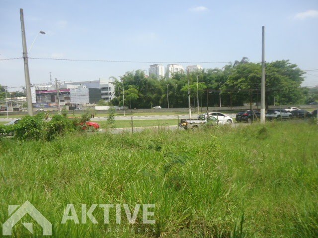 Foto 01
