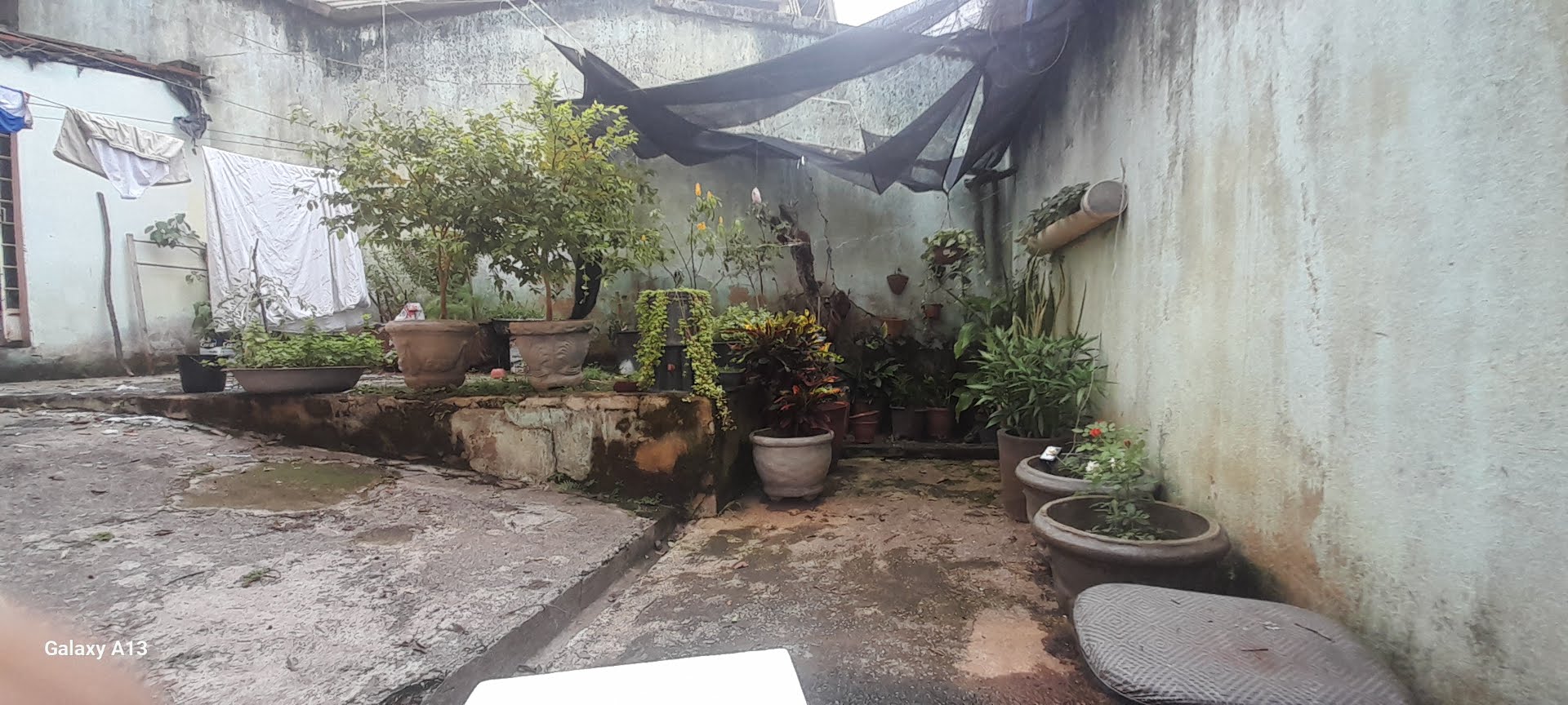 Casa à venda com 5 quartos, 1 suíte, 3 vagas e 220m² no Rio Branco, Belo Horizonte (MG) — foto 7 de 29