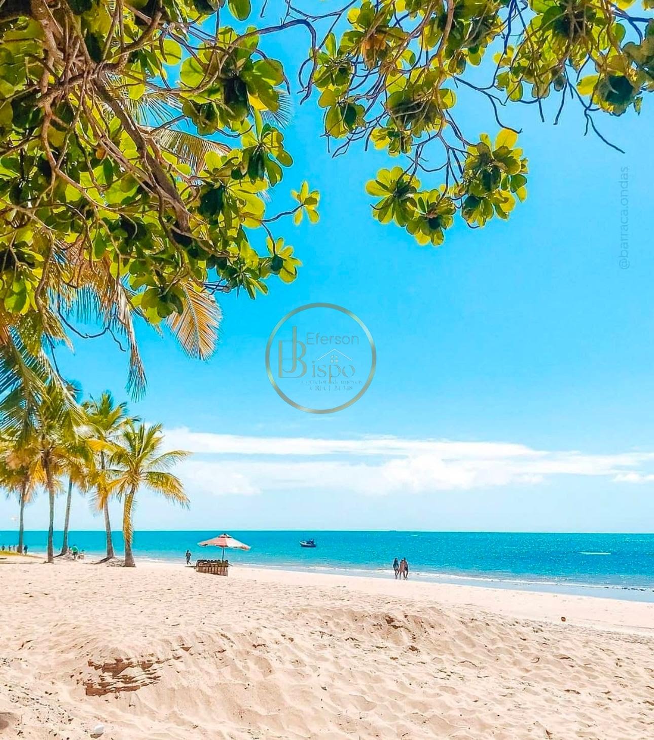 Terreno à venda com 5000m² de terreno no Praia de Itacimirim, Porto Seguro (BA) — foto 3 de 10