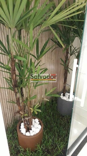 Jardim de Inverno