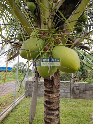 Foto de Lote à venda no Bairro da Lagoa, Americana por R$ 750 mil