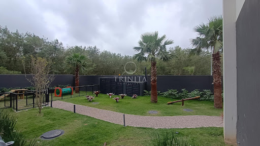 Parcão