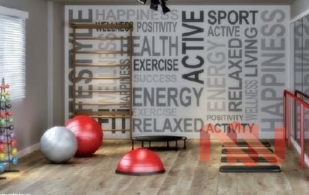 Fitness