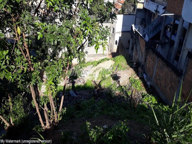 Foto 03